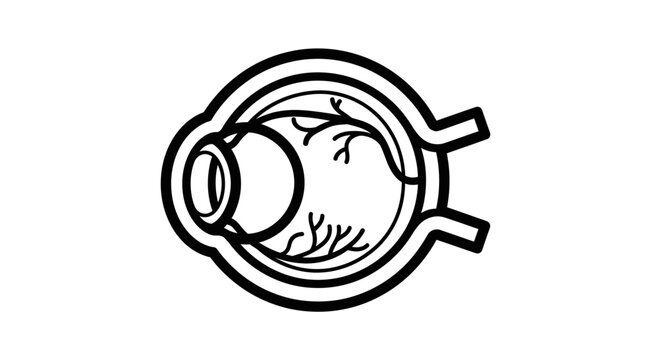 Anatomical illustration of the human eye, showing internal structures and blood vessels, black and white line art.