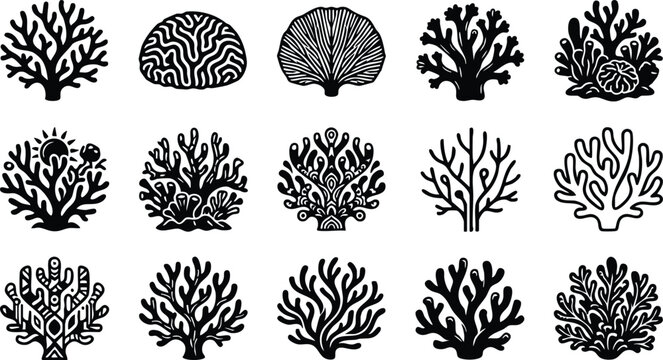 Set of fifteen black and white coral reef featuring diverse branching and brain coral shapes isolated on a white background
