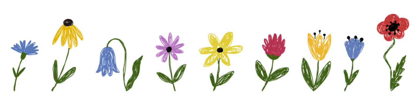 Hand Drawn Wildflower Collection in Naive Doodle Style Vector. Cute hand drawn wildflower collection in a naive doodle style. Isolated colorful vector flowers for spring and floral designs.
