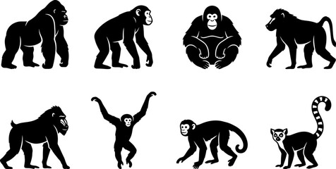 Primate Monkey Silhouette Collection Featuring Gorilla Chimpanzee Orangutan Baboon Gibbon Monkey and Lemur Vector Set © MstSume