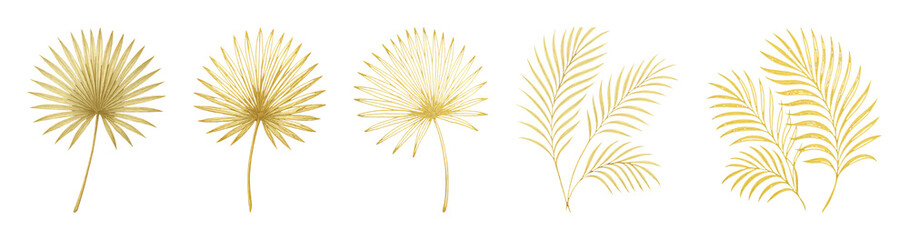 Fototapeta premium PNG Golden palm leaves collection on transparent background