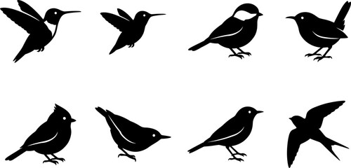 Black Bird Silhouettes Collection Featuring Hummingbird Chickadee Wren Sparrow Swallow and Songbird Vector Icons © MstSume