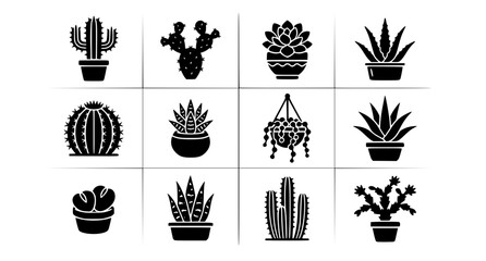 Minimal Glyph Cactus and Succulent Plant Icon Set Editable Botanical Vector Collection © Shaariar