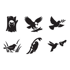 Fototapeta premium Black and White Silhouette Illustrations Of Various Birds And Owl