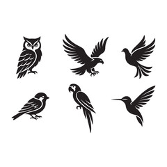 Naklejka premium Black and white vector illustrations of various birds isolated on transparent background
