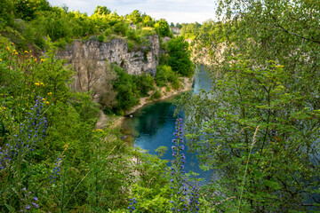 Naklejka premium Scenic limestone quarry lake surrounded by steep rocky cliffs and lush vegetation with blooming viper's bugloss (Echium vulgare) in the foreground. Vibrant summer landscape combining geology and nativ