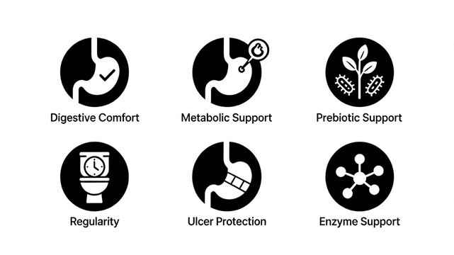 Gastrointestinal regulation icon, enhancing eating comfort, promoting metabolism and proliferation of prebiotics, repairing the gastrointestinal tract, and supplementing enzymes needed for digestion
