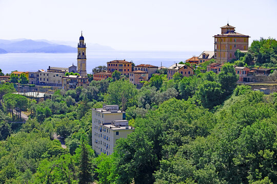 Towards St Margherita, Liguria.