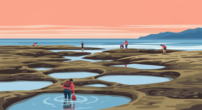 Flat vector illustration of people exploring tide pools on a rocky beach at low tide during sunset with distant coastal mountains and a calm pacific ocean horizon.