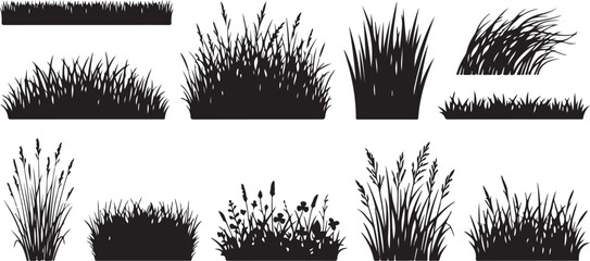 Set of black grass silhouettes and wild meadow plants collection © Mahafuz