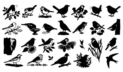 Garden Birds Clipart Vector Bundle with Cute Small Wild Birds Isolated © Tonmoy