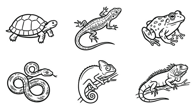 Collection of hand drawn reptiles and amphibians in black and white sketch