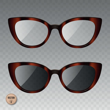 Vector 3d Tortoiseshell Glasses Set. Eyeglasses and Sunglasses with Tortoise Shell Frame. Brown Fashion Eyewear Collection for Optical Store, Accessories Design