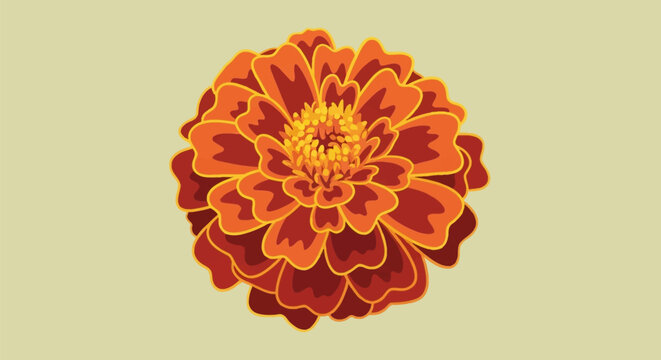 Stylized vector marigold illustration featuring layered orange and red petals with yellow highlights, top view floral design isolated on a solid light beige background.