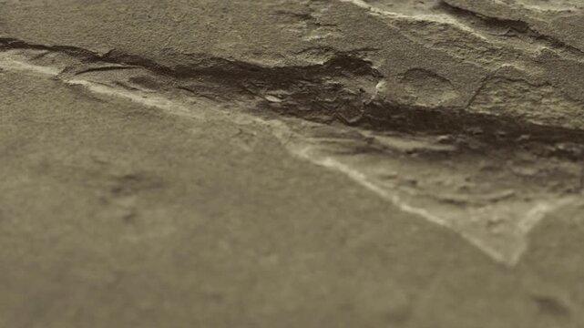 Footprints appear in wet clay by a riverbank. The sunlight shines on the ground as nature shows signs of life. The environment suggests early morning with fresh impressions in the mud.