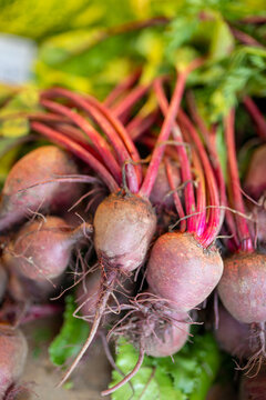 Rote Beete auf dem Markt 
