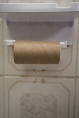 Obraz premium Empty cardboard toilet paper tube on a plastic holder, symbolizing depletion, scarcity, and the need for new provisions