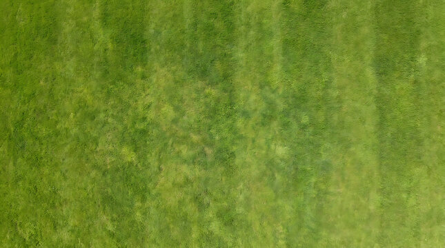 Aerial overhead view of vibrant green lawn grass texture for backgrounds and design projects providing a fresh natural surface for outdoor concepts
