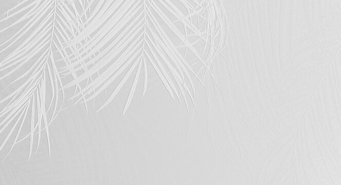 A minimalist white textured background with subtle embossed palm fronds in the top left corner.