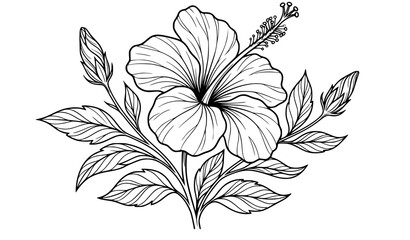 Elegant hand drawn hibiscus flower black line art tropical botanical vector illustration isolated on white background © MstMomena