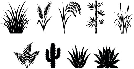 Set of grass wheat rice bamboo reed fern cactus succulent silhouettes design icon. © MD Asharaful