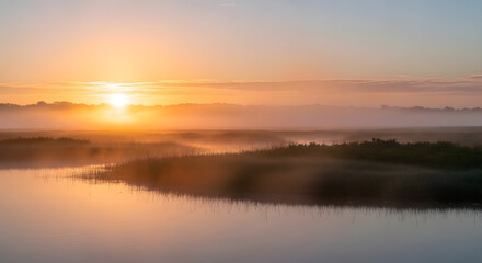 Fototapeta premium Tranquil sunrise over misty wetlands and water reflections natural environment