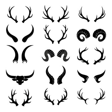 Collection of deer antlers and goat skull vector graphic silhouettes for hunting lodge symbols and rustic wildlife badge designs