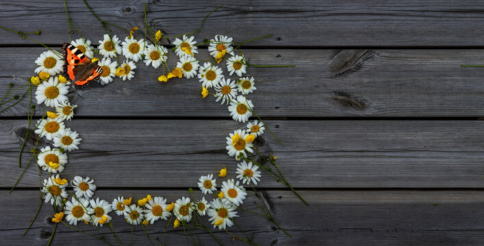 Kranz aus Margeriten auf einem Grauen Holzhintergrund