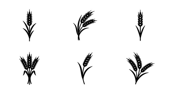 Wheat Stalk Icons, Grain Ear Vector Set, Organic Harvest Agriculture Symbols