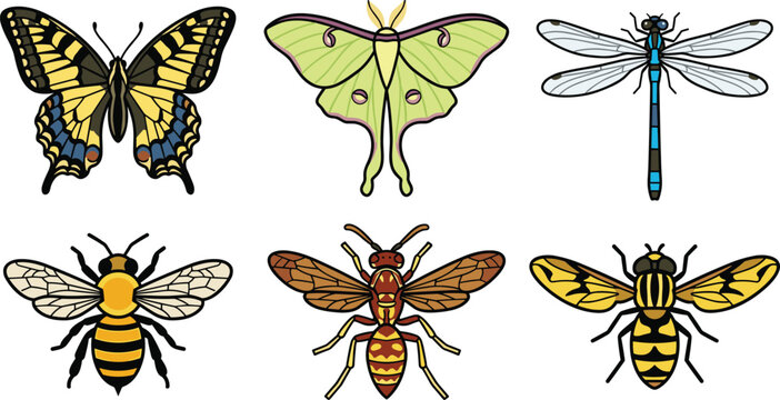  Elegant Art Nouveau insect vector set with ornate butterfly luna moth and honeybee illustration elements isolated on white background