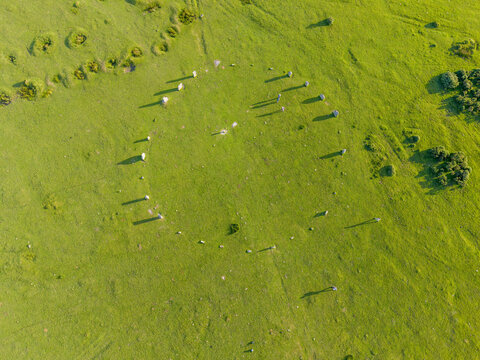 The hurlers stone circle on Bodmin moor cornwall england uk near minions 
