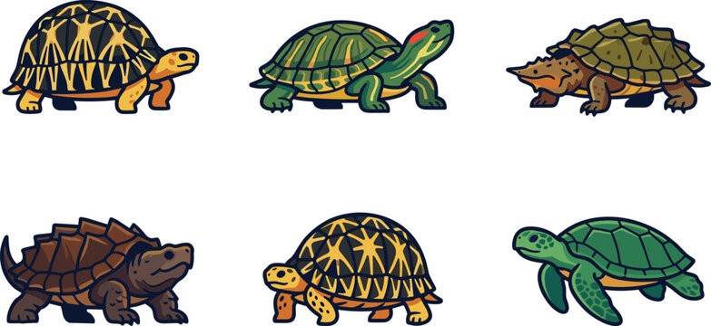  Cartoon turtle and tortoise vector set with cute colorful reptile wildlife characters isolated on white background