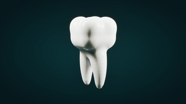 Shiny white tooth isolated on dark background. 3d rendering