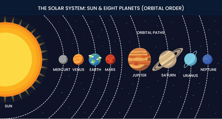 Solar System Diagram Vector – Sun and Eight Planets Orbital Illustration © Roksana