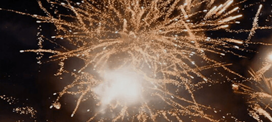 Beautiful bright Fireworks at dark sky background. © Arif Biswas