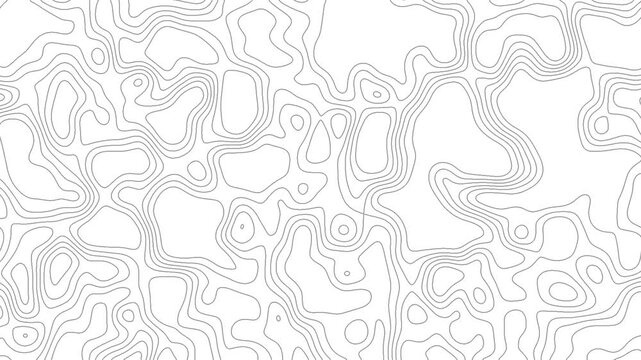 Abstract topographic map contour lines motion background, seamless loop animation topography