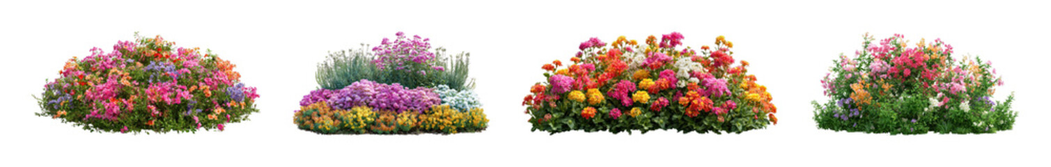 Obraz premium PNG Colorful blooming flower mounds isolated, transparent background