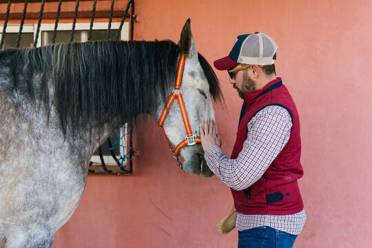 Man bonding with a gray horse in a stable