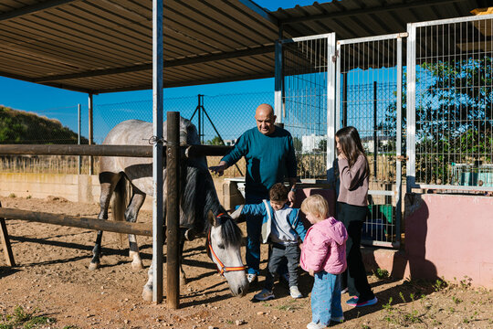 Family learning about horse riding at a stable