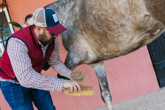 Man cleaning horse hoof with a brush