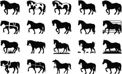 Fototapeta premium Set of horse silhouettes, different breeds and poses, farm animals and equestrian sport