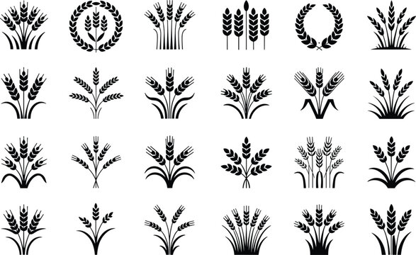 Set of wheat ears and sheaves silhouettes for agriculture, bread, and harvest designs