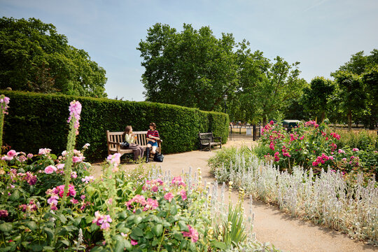 Friends Enjoy a Sunny Day in a City Park With Flowers