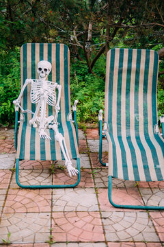 Skeleton sits in a lounge chair in a garden setting