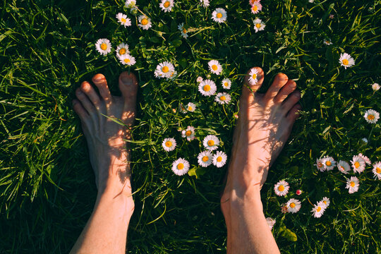 Grass barefoot feet