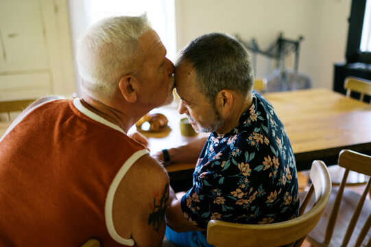 happy retired lgbtq couple in love at home