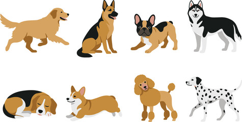 Cute Cartoon Dog Breeds and Poses Collection Vector Illustration Set Isolated on White Background © Raju