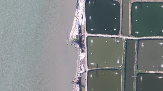 Aerial shot showing divided water ponds used for farming separated by dirt paths