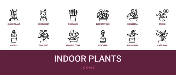 Set of 12 outline web Indoor Plants icons such as cast iron, aglaonema, hyacinth, venus flytrap, fiddle fig, cactus, orchid vector icons for report, presentation, diagram, web design, mobile app © Emma