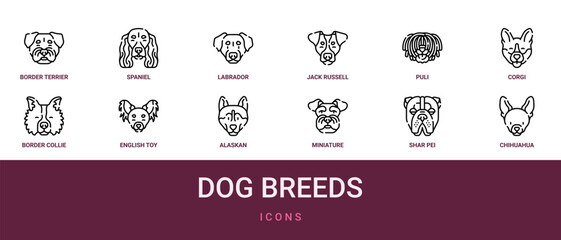 Set of 12 outline web Dog Breeds icons such as Chihuahua, shar pei, miniature schnauzer, alaskan malamute, english toy terrier, border collie, corgi vector icons for report, presentation, diagram, © Emma